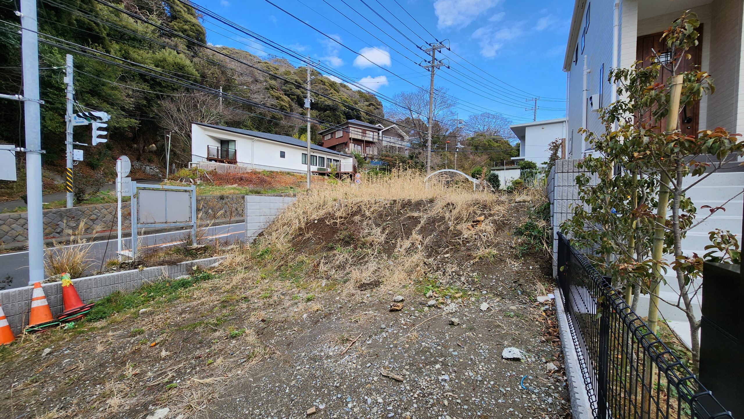 葉山の緑に癒されます