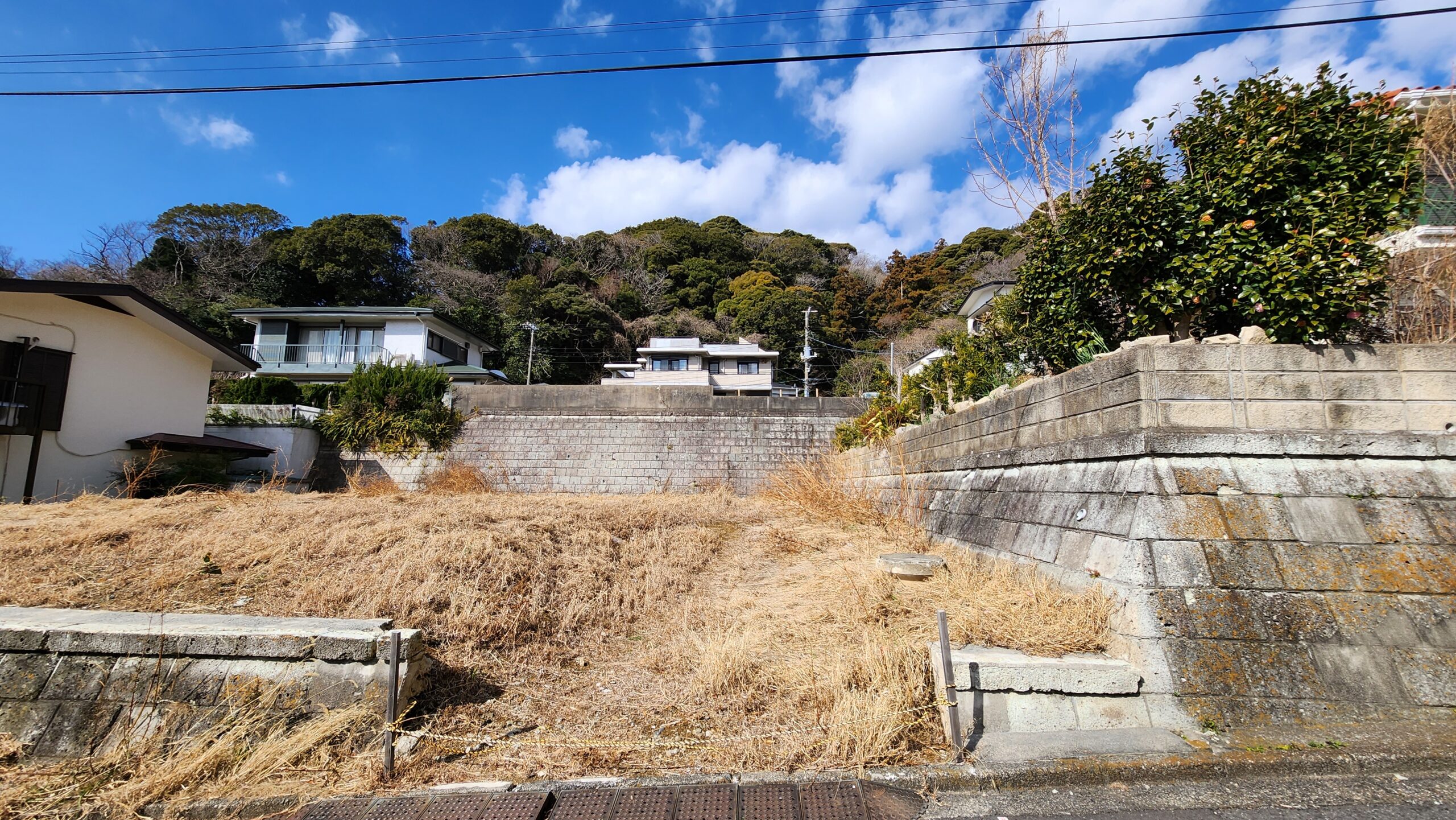 葉山の緑に癒されます